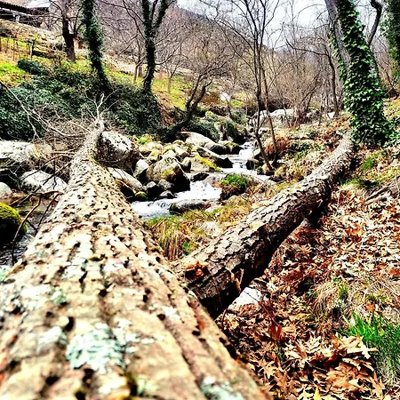 Asomadilla By #cherrygredos El Arenal (Castile and Leon)