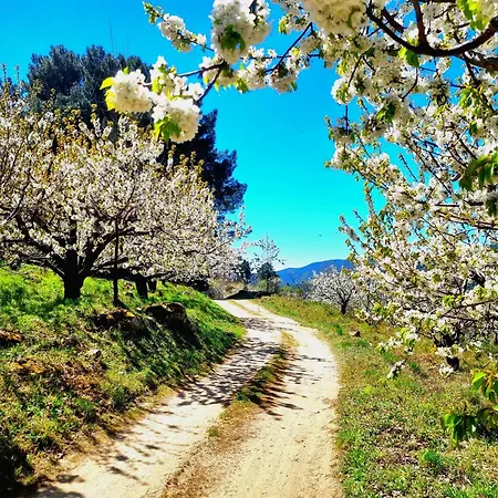 Διαμέρισμα Asomadilla By #cherrygredos