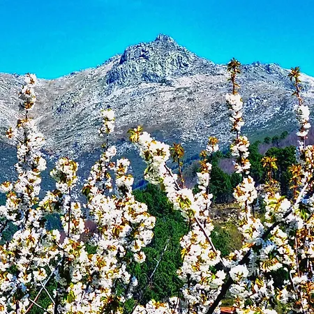 Asomadilla By #cherrygredos Apartamento El Arenal (Castile and Leon)