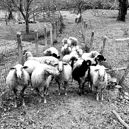 公寓 Asomadilla By #cherrygredos *